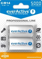 Купить акумулятор / батарейка everActive Professional Line 2xC 5000 mAh: цена от 504 грн.