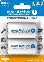 Купить аккумулятор / батарейка everActive Professional Line 2xD 10000 mAh: цена от 718 грн.